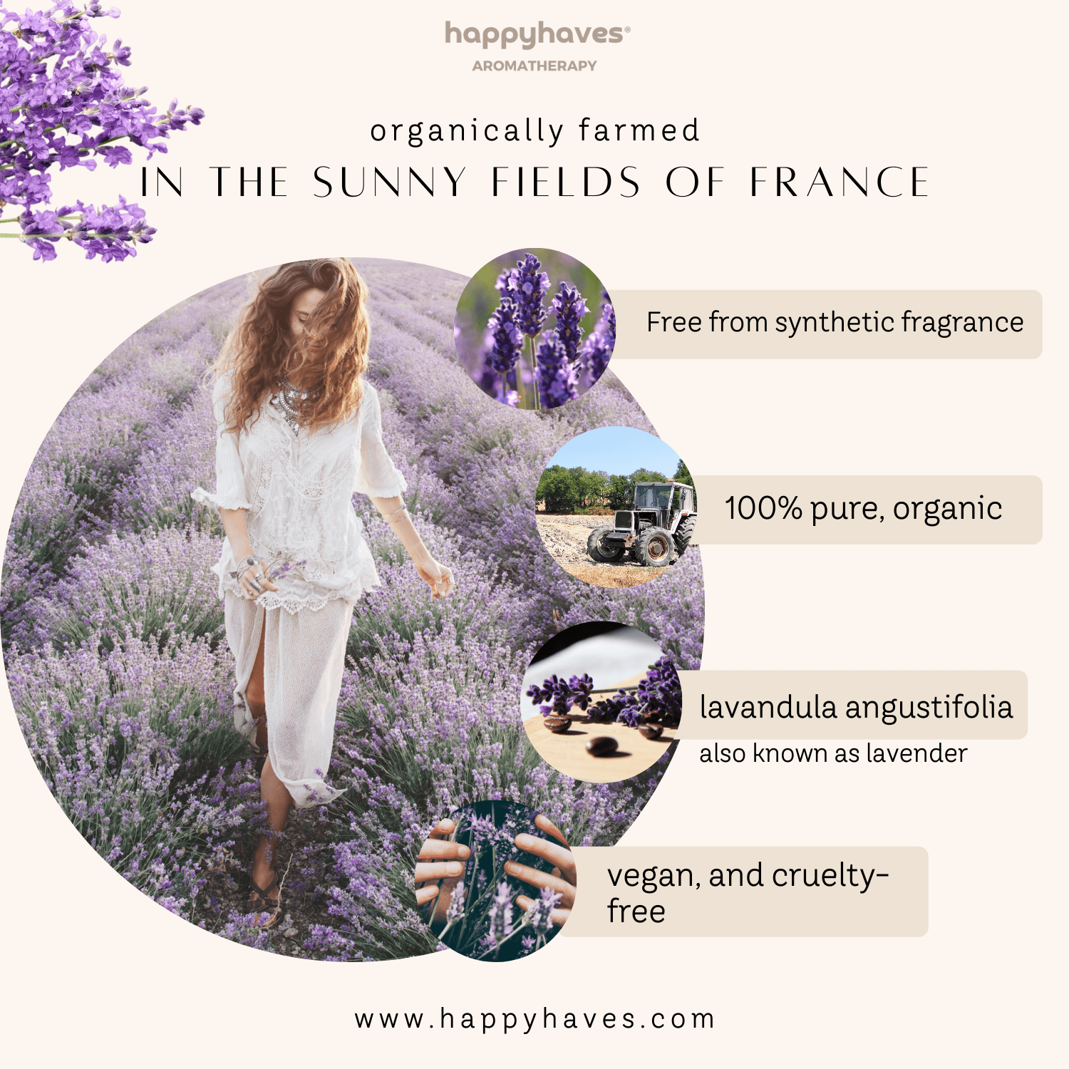 Organic Lavender Essential Oil